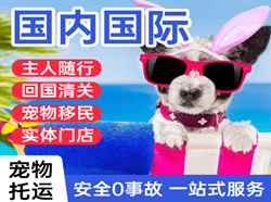 鞍山国际宠物托运 【国